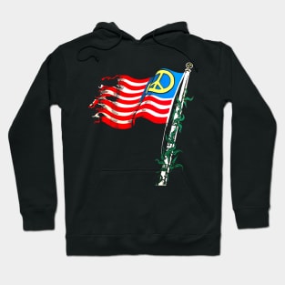 Flag of Peace Hoodie